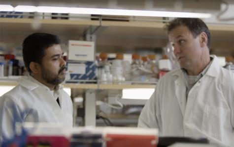 Dr. Joydeep Mukherjee discusses research with Dr. Russ Pieper at the lab bench